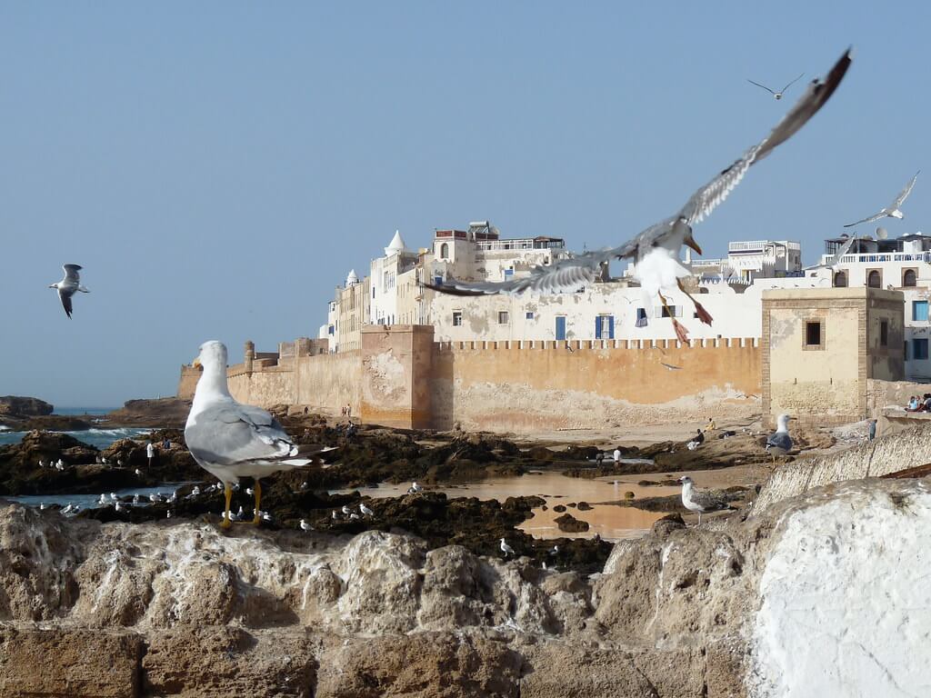 Surf spots in Morocco: the ramparts and harbour of Essaouira